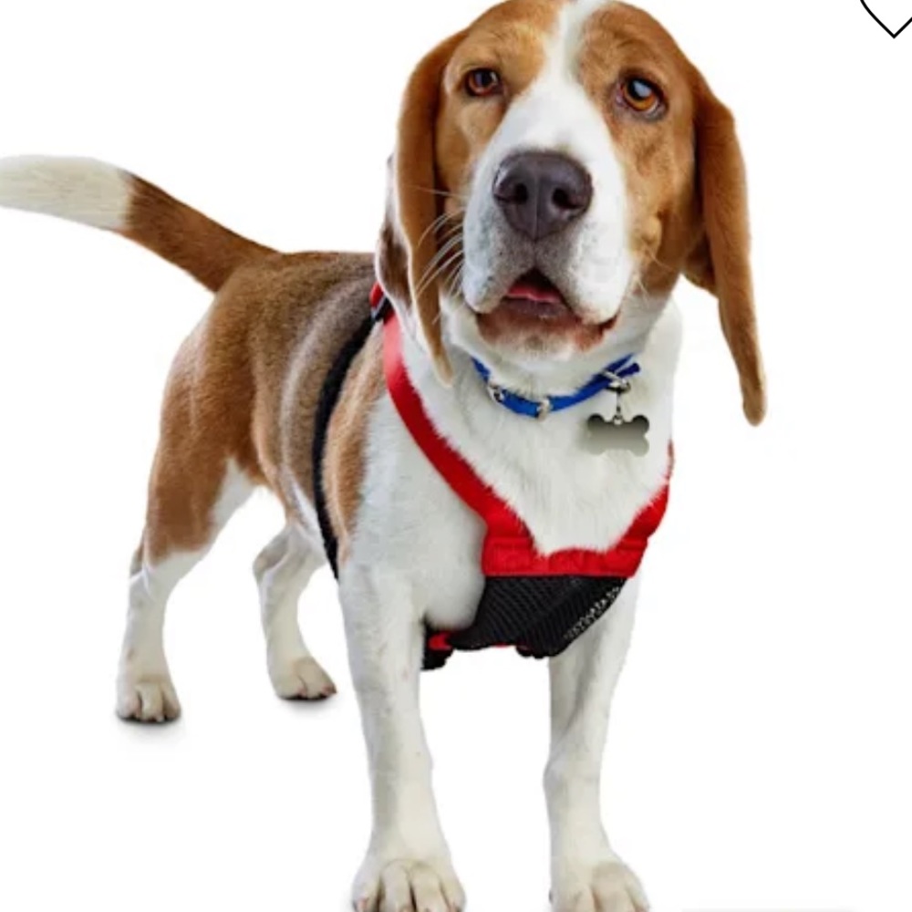 NWT Embrace the pace no pull dog harness M